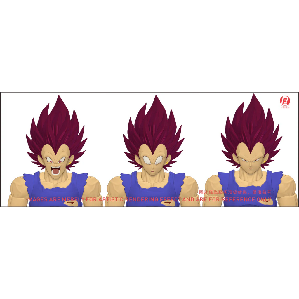 --- Pre Order--- Reissue ReCustom - THE INSTANTANEOUS MARTYR - Vegeta Head Sculpt set