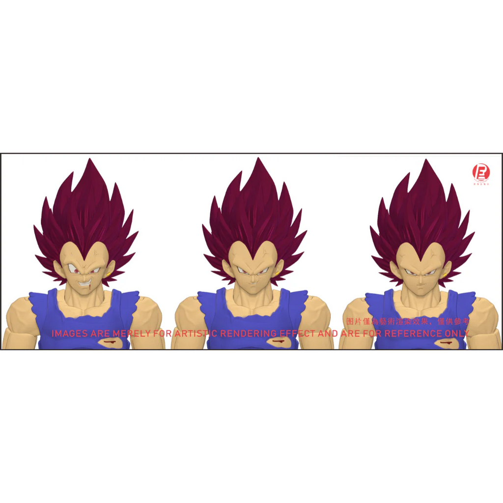 --- Pre Order--- Reissue ReCustom - THE INSTANTANEOUS MARTYR - Vegeta Head Sculpt set