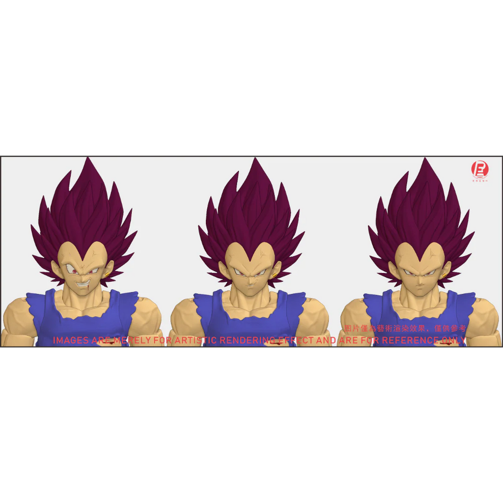 --- Pre Order--- Reissue ReCustom - THE INSTANTANEOUS MARTYR - Vegeta Head Sculpt set