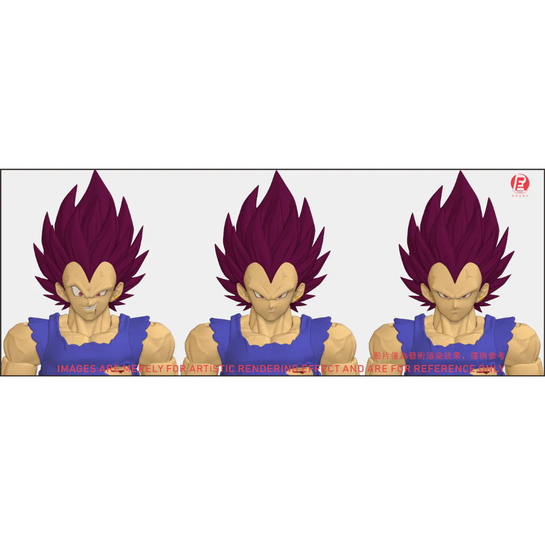 --- Pre Order--- Reissue ReCustom - THE INSTANTANEOUS MARTYR - Vegeta Head Sculpt set