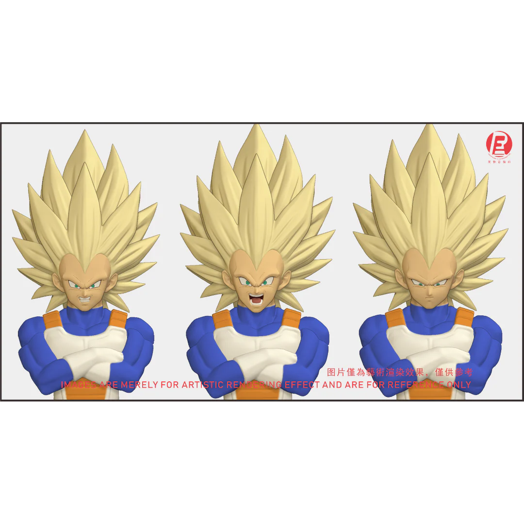 --- Pre Order--- Reissue ReCustom - THE INSTANTANEOUS MARTYR - Vegeta Head Sculpt set