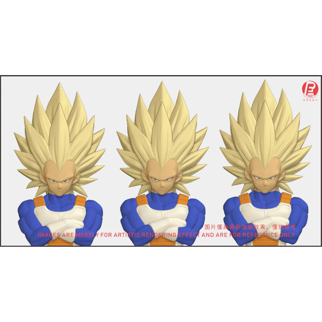 --- Pre Order--- Reissue ReCustom - THE INSTANTANEOUS MARTYR - Vegeta Head Sculpt set