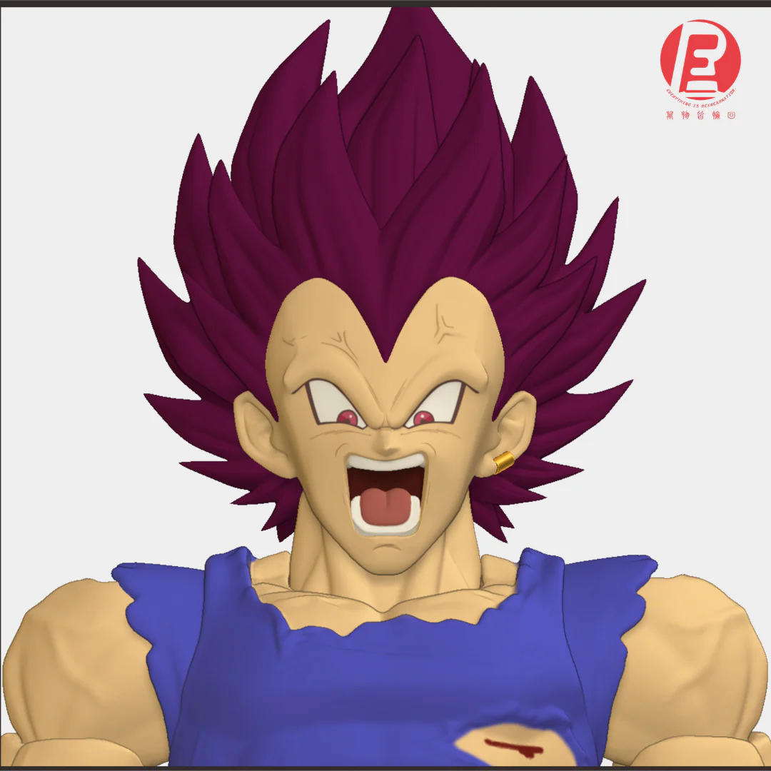 --- Pre Order--- Reissue ReCustom - THE INSTANTANEOUS MARTYR - Vegeta Head Sculpt set