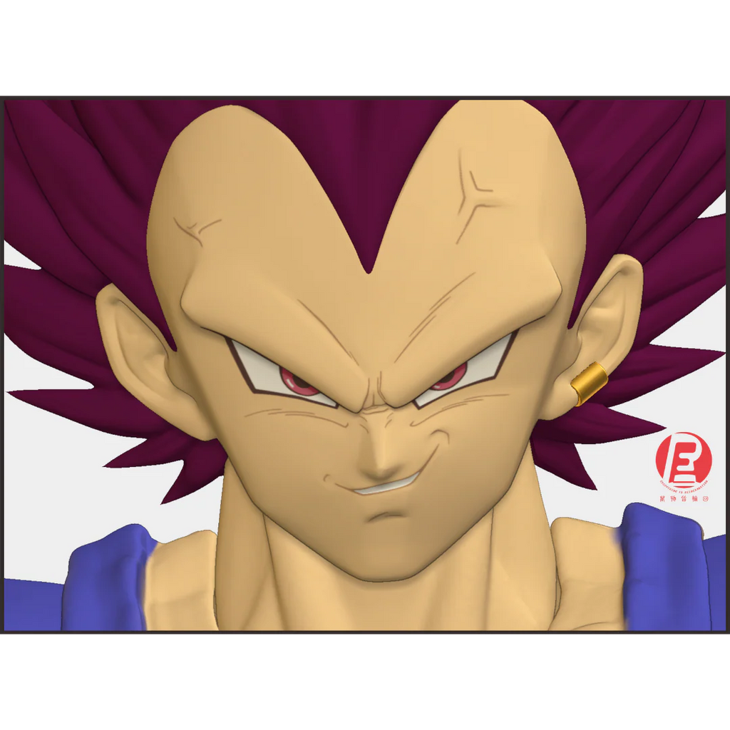 --- Pre Order--- Reissue ReCustom - THE INSTANTANEOUS MARTYR - Vegeta Head Sculpt set