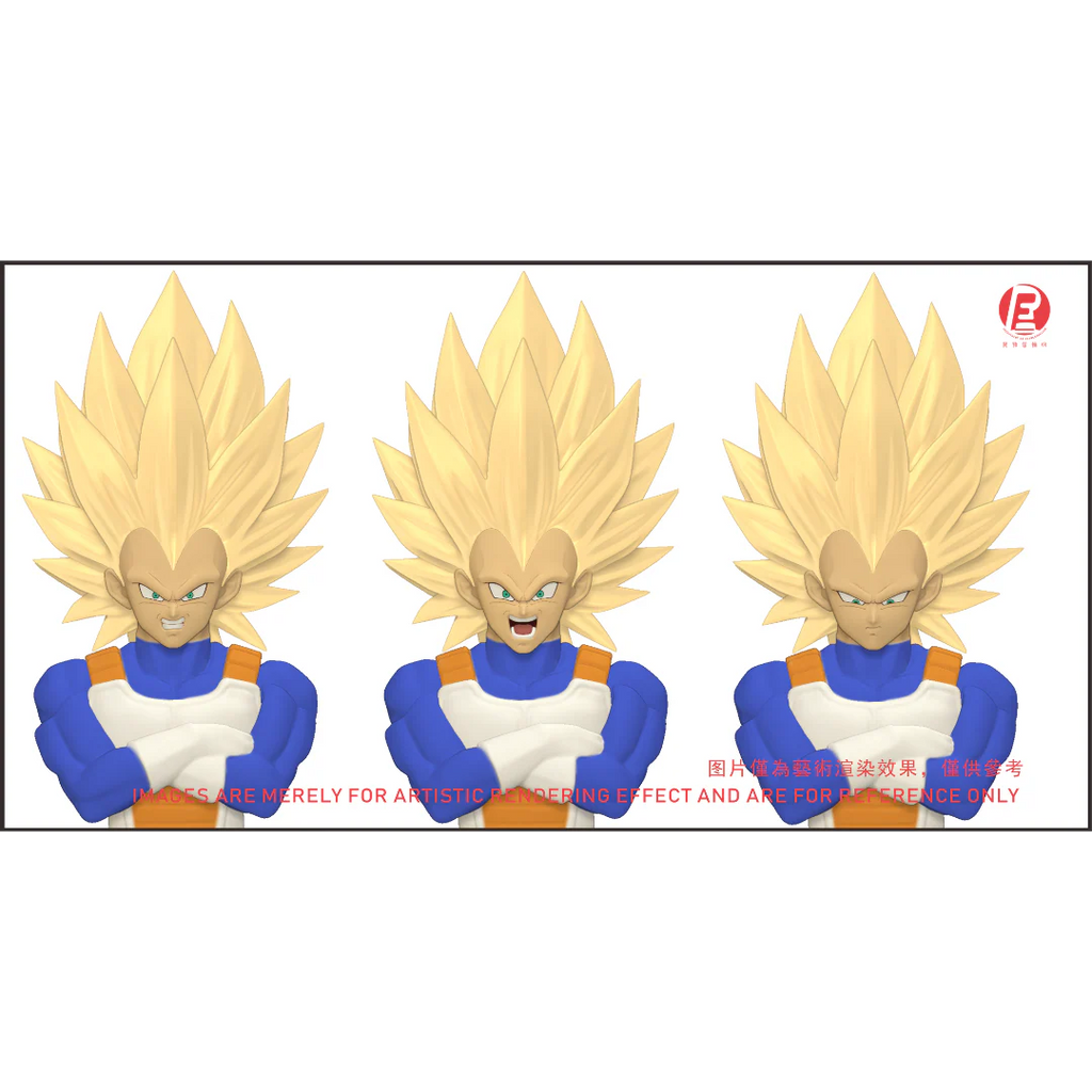 --- Pre Order--- Reissue ReCustom - THE INSTANTANEOUS MARTYR - Vegeta Head Sculpt set