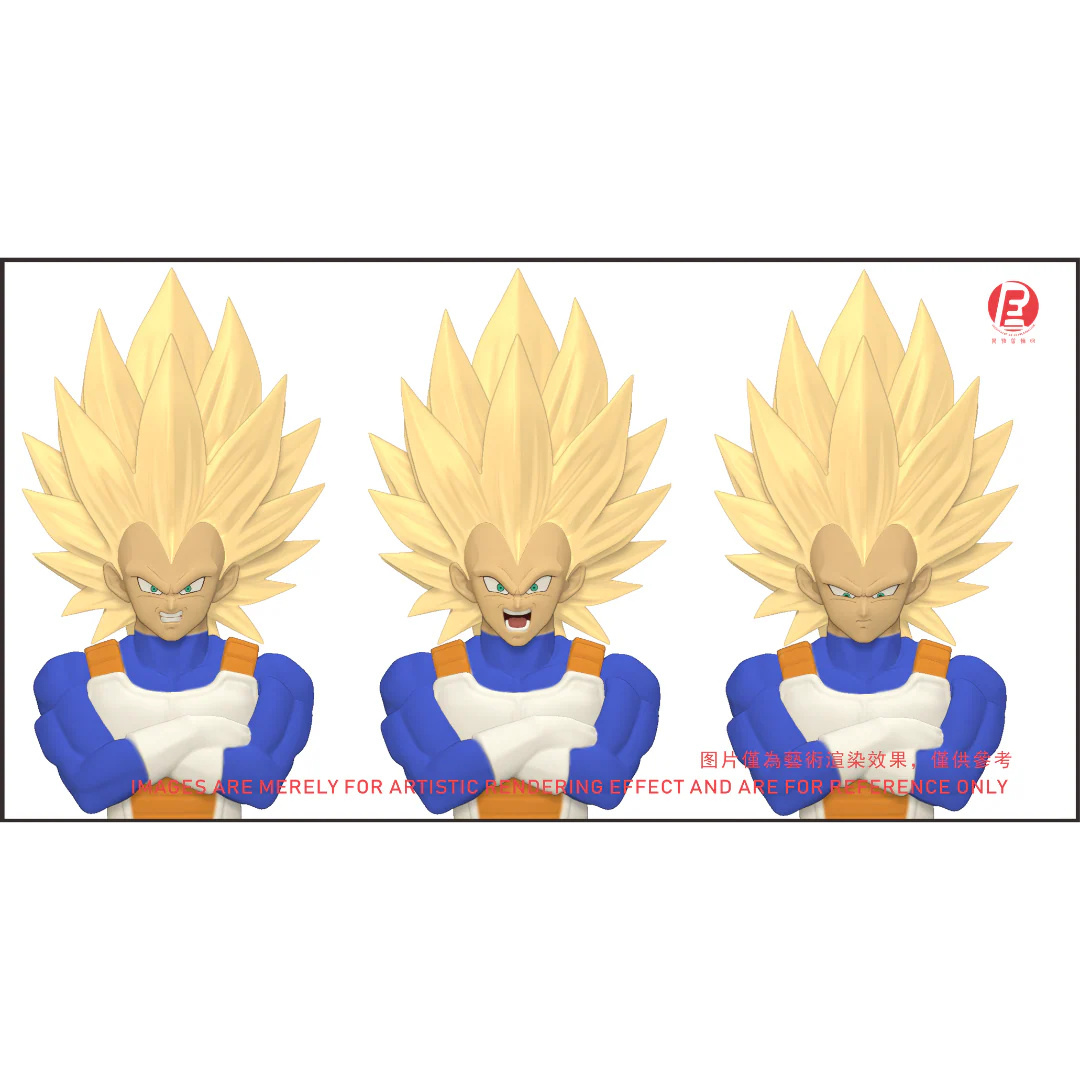 --- Pre Order--- Reissue ReCustom - THE INSTANTANEOUS MARTYR - Vegeta Head Sculpt set